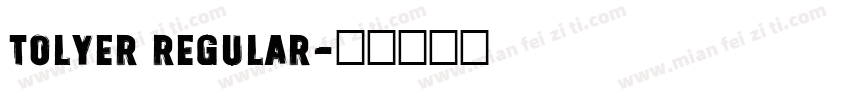 Tolyer Regular字体转换